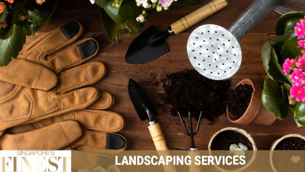 The Finest Experts on Landscape Services in Singapore