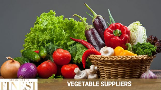 10 Trustworthy Vegetable Suppliers in Singapore [2024]