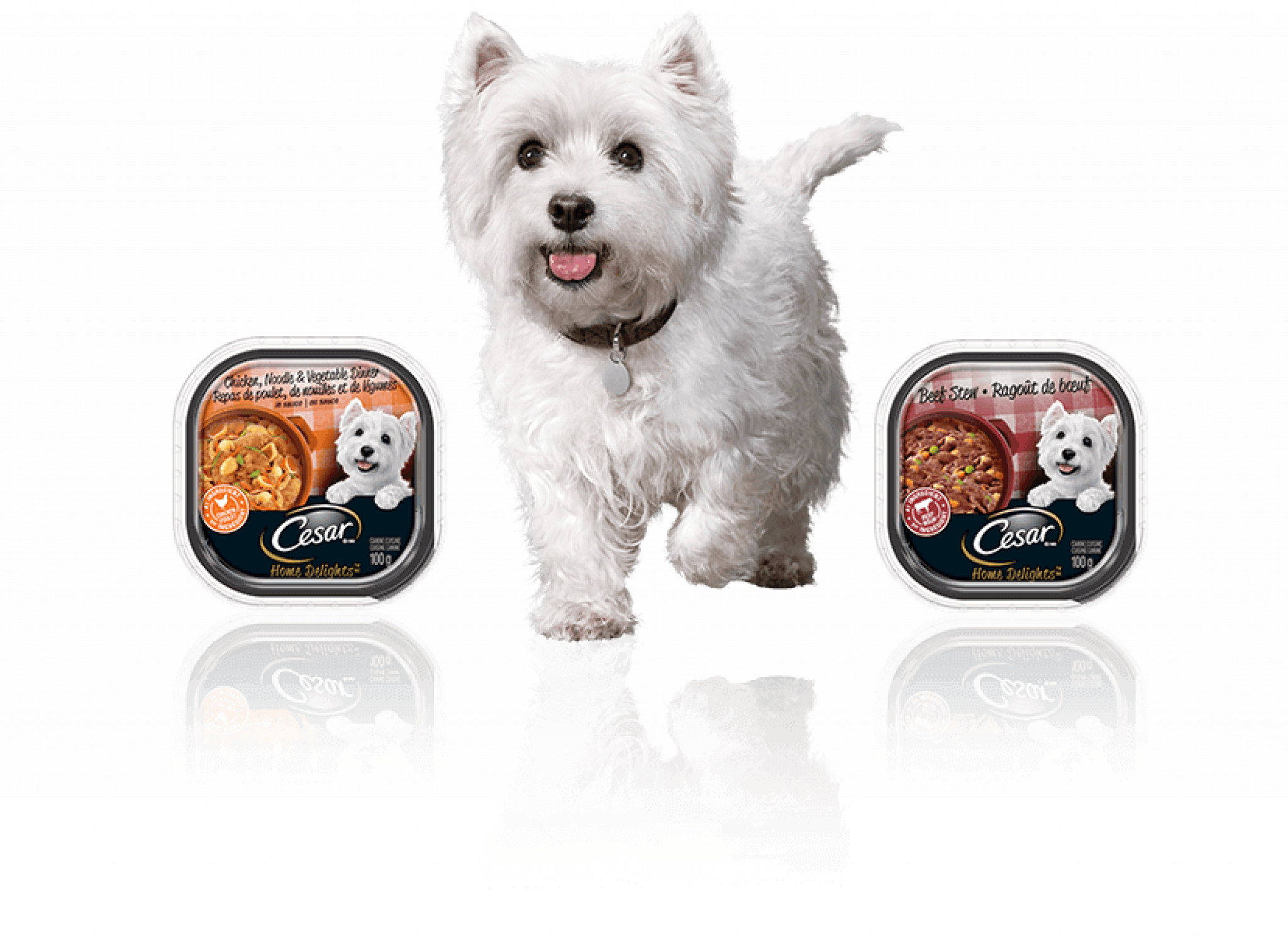 8 Best Dog Food in Singapore [2024]