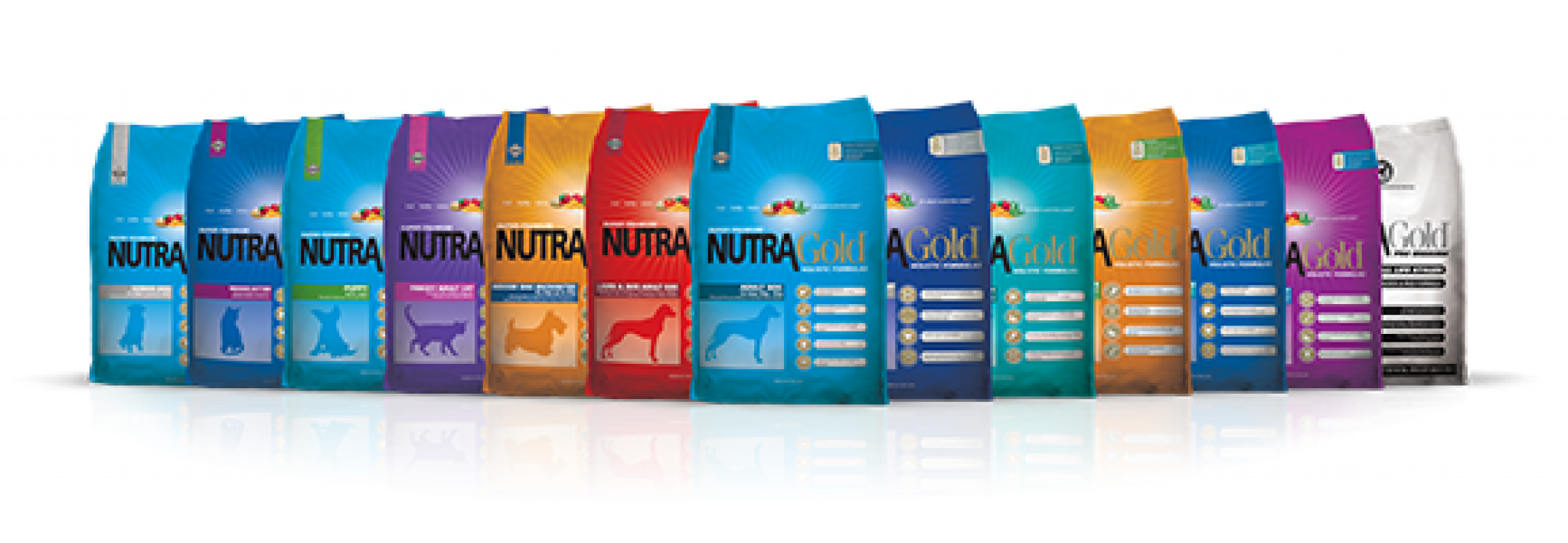 8 Best Dog Food in Singapore [2024]