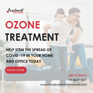 Aardwolf Pestkare Ozone treatment side banner