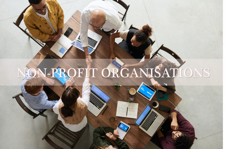 Types Of Non profit Organisations In Singapore 2022 