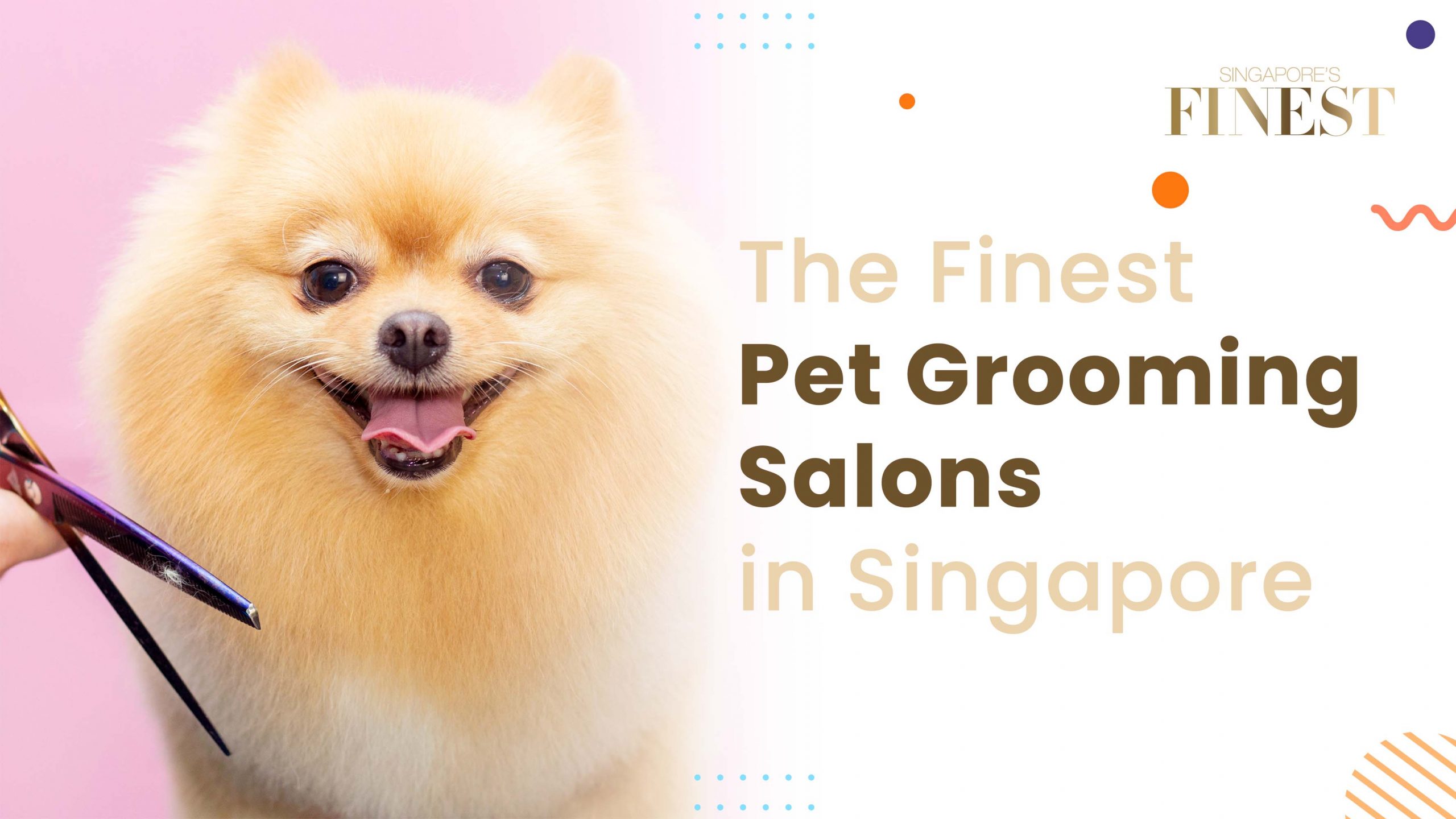 Finest Pet Grooming Salons in Singapore
