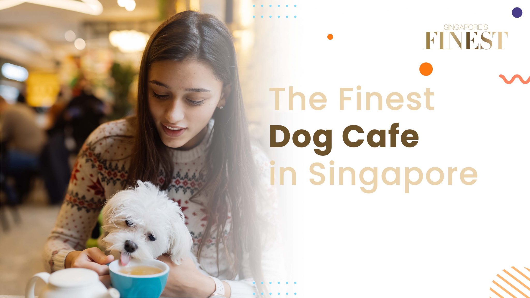 7 Best Dog Cafe In Singapore [2024]