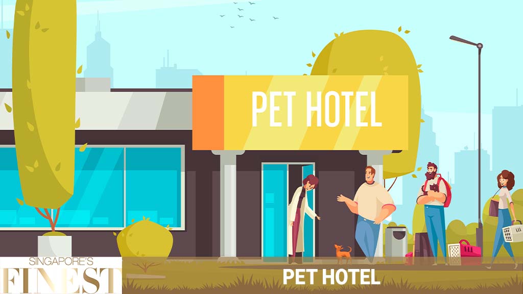 8 Trustworthy Pet Hotel in Singapore [2023]