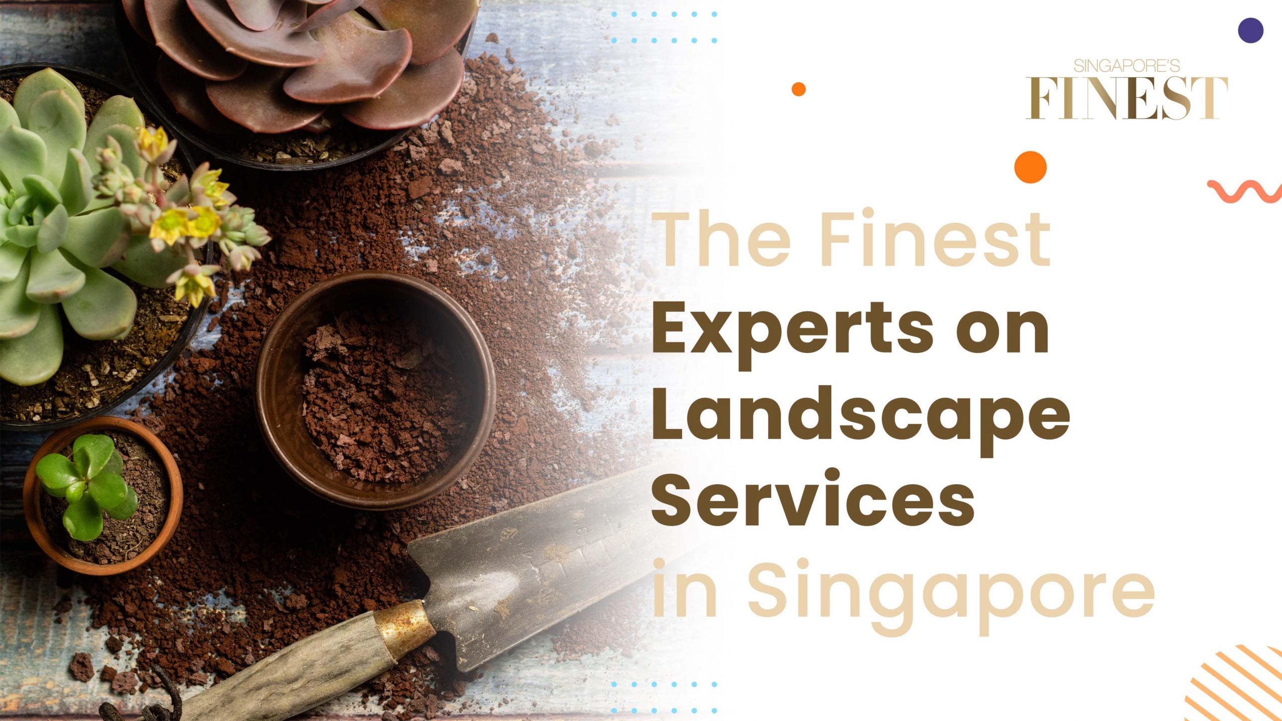 Finest Experts on Landscape Services in Singapore