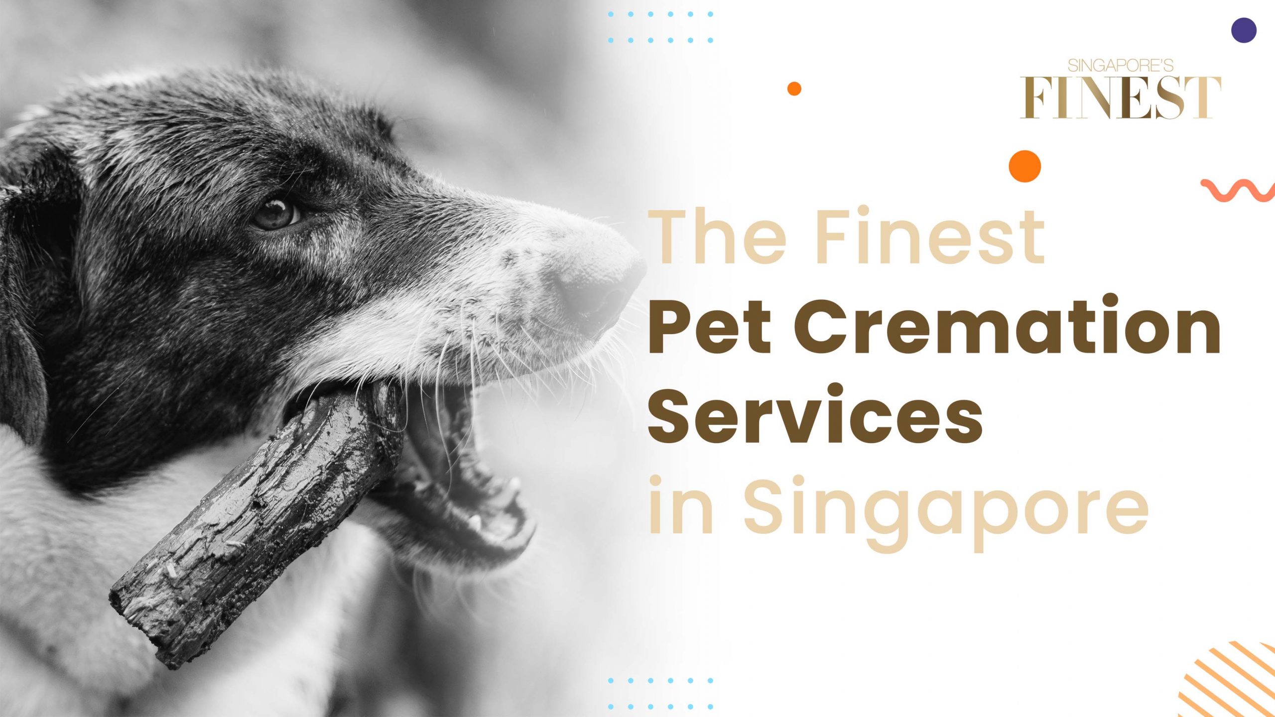 Finest Pet Cremation Services in Singapore