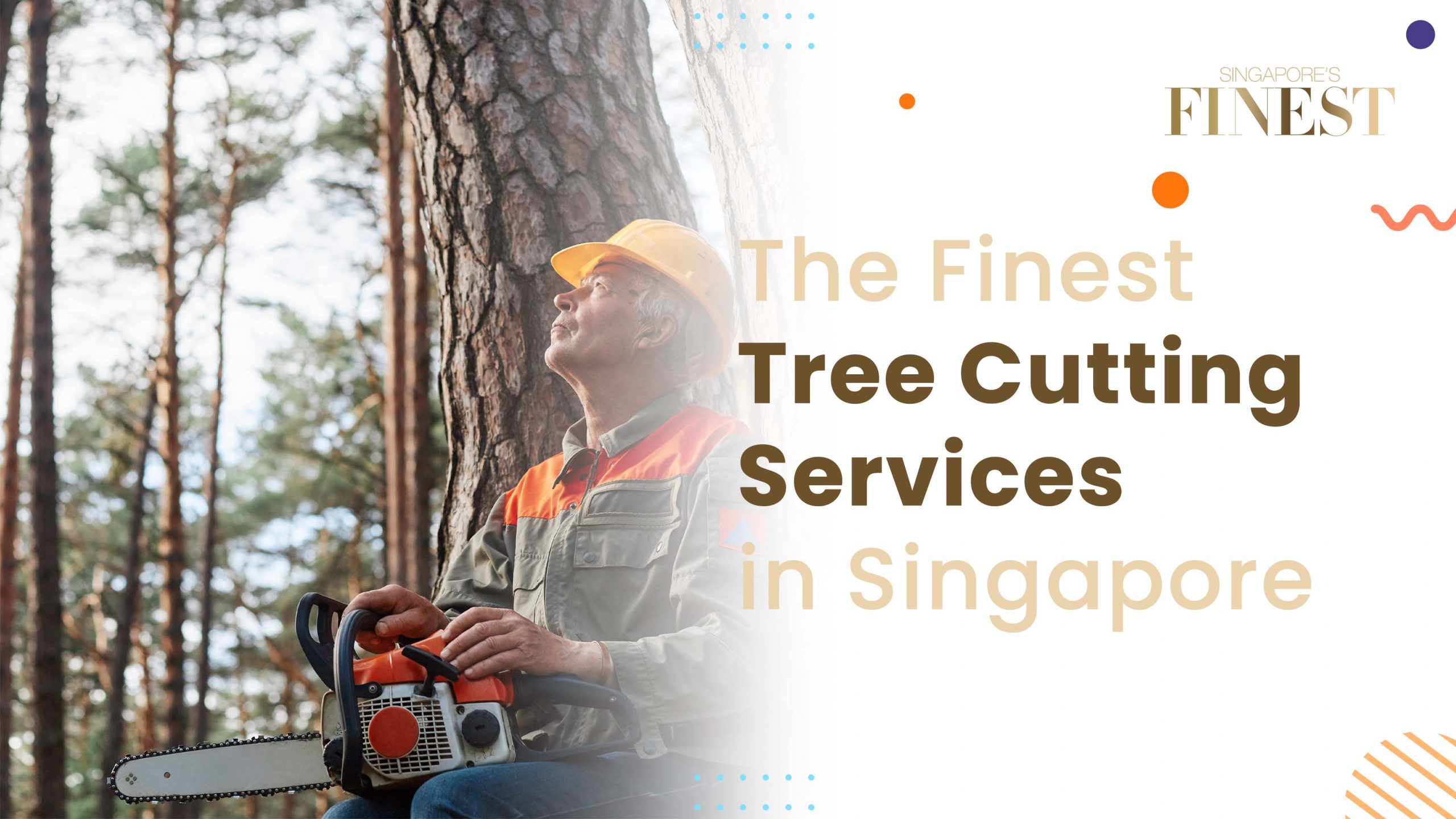 Finest Tree Cutting Services in Singapore
