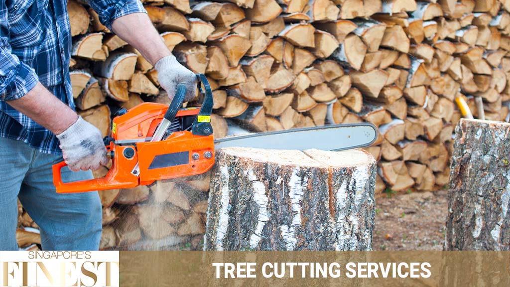 10 Trustworthy Tree Cutting Services in Singapore [2024]