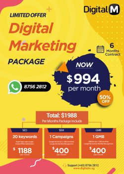 Enjoy 50% off for Digital Marketing Services