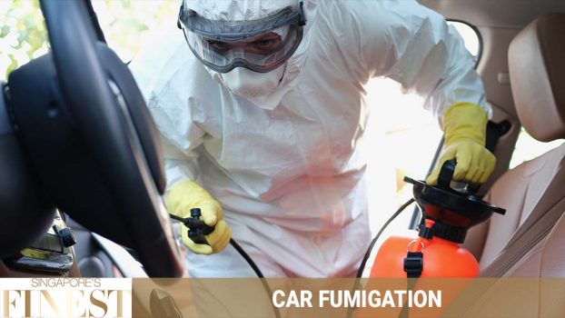 The Finest Car Fumigation Services in Singapore