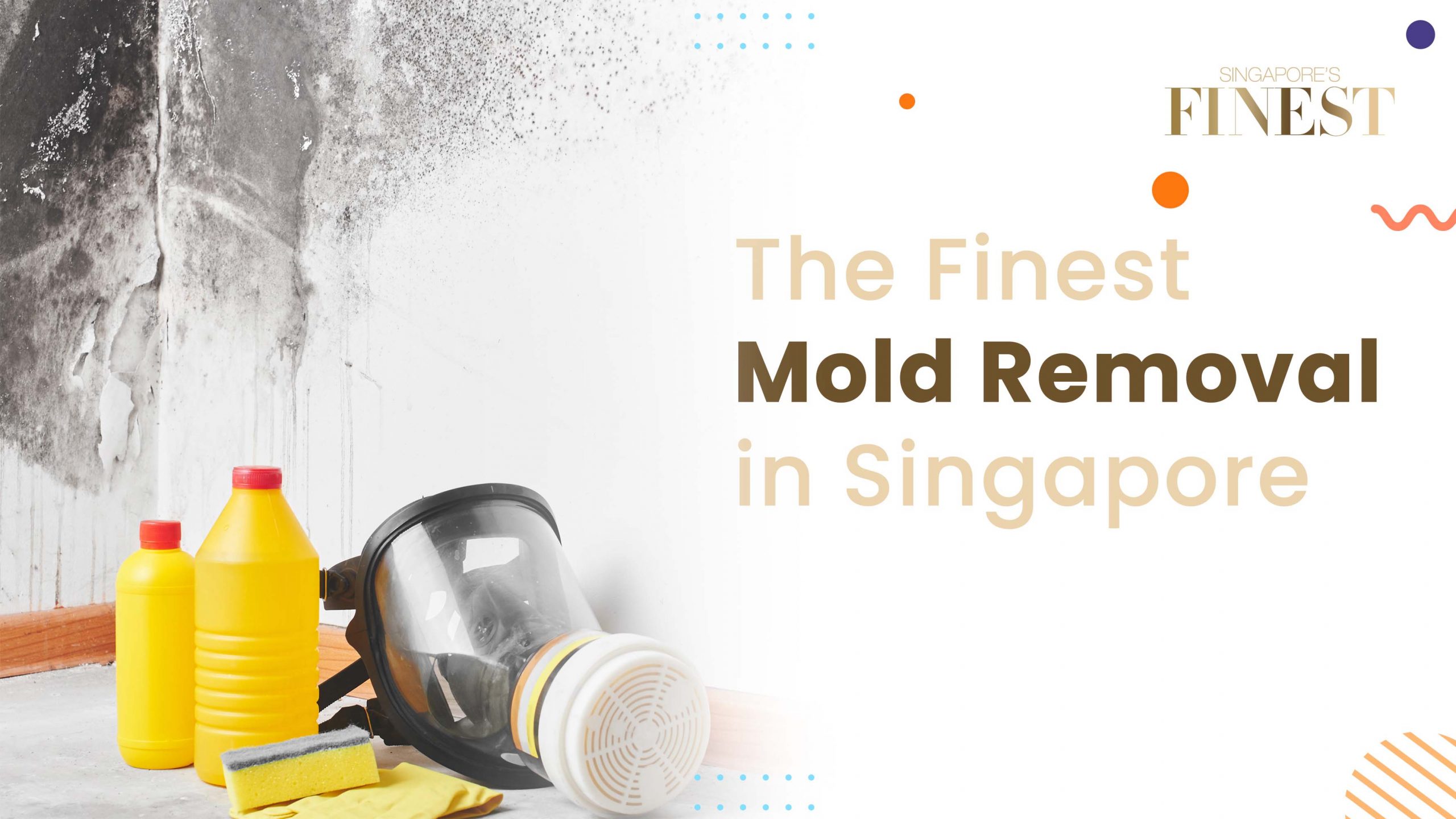Finest Mold Removal in Singapore