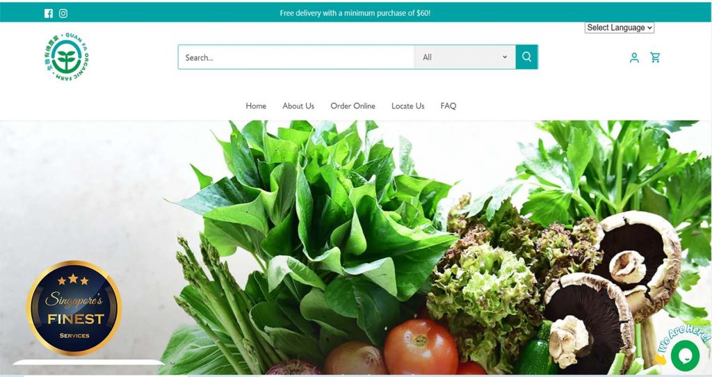 10 Trustworthy Vegetable Suppliers in Singapore [2024]