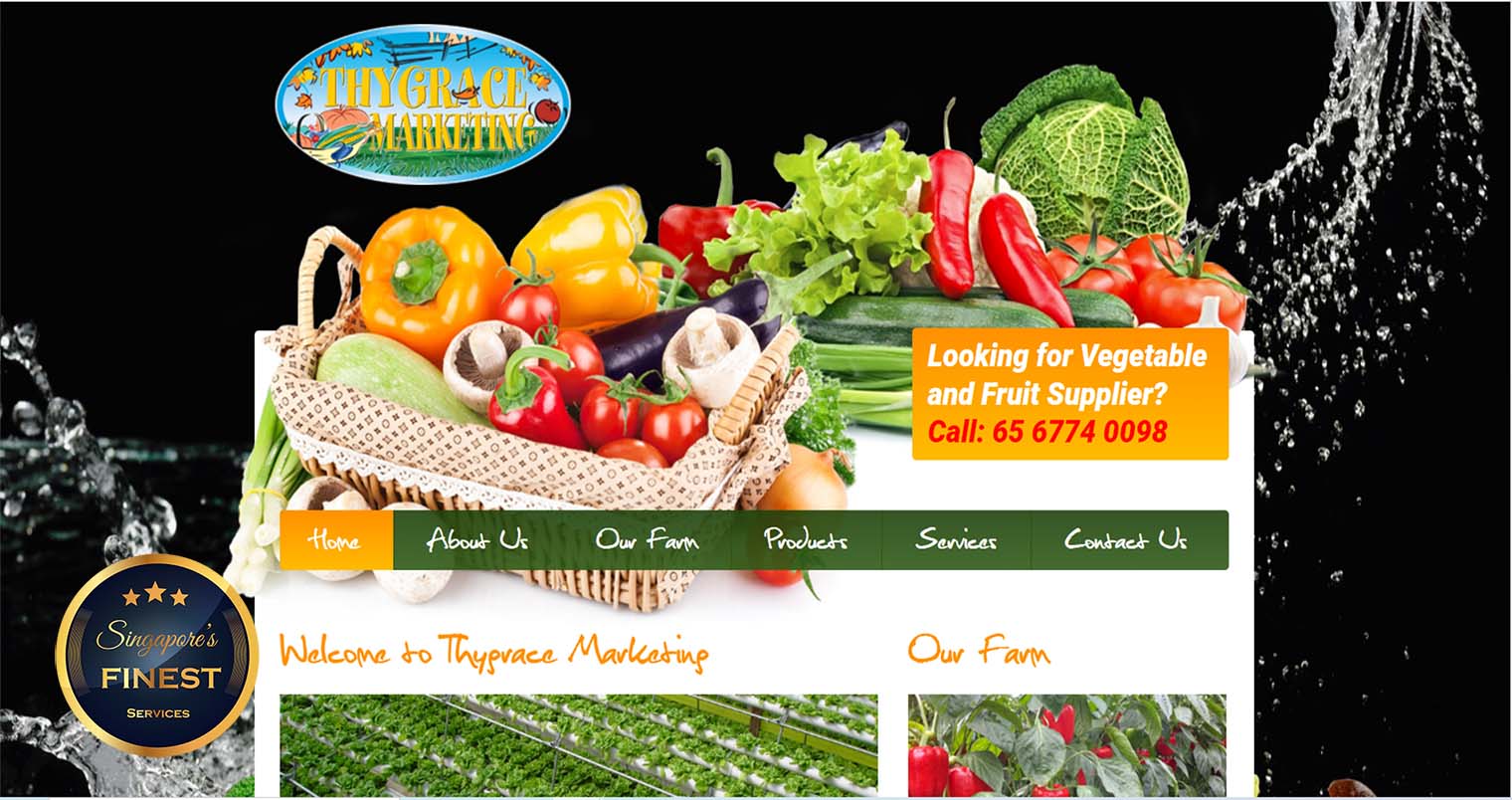Thygrace Marketing - Vegetable Suppliers in Singapore
