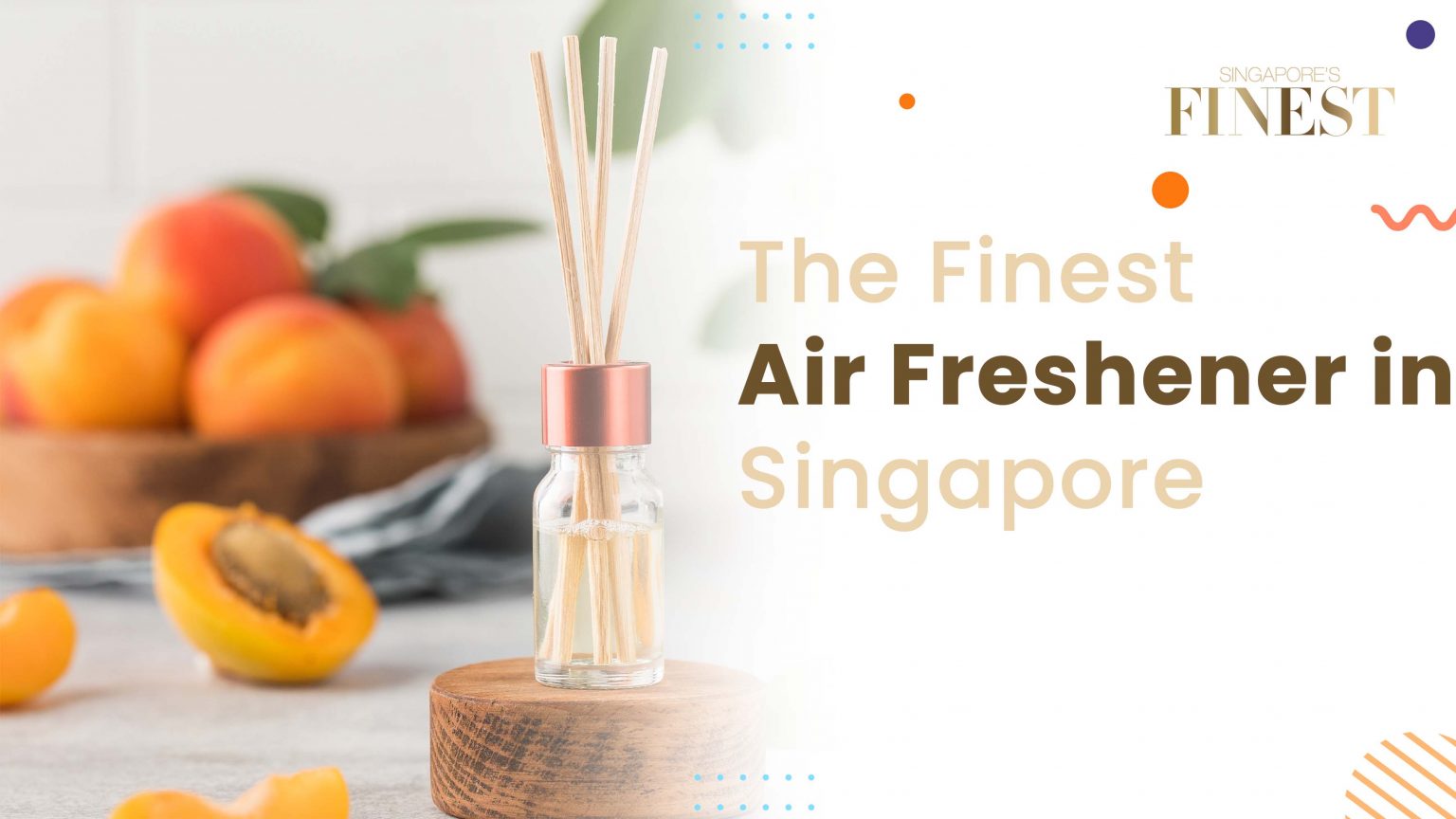 5 Best Air Freshener in Singapore [2024]