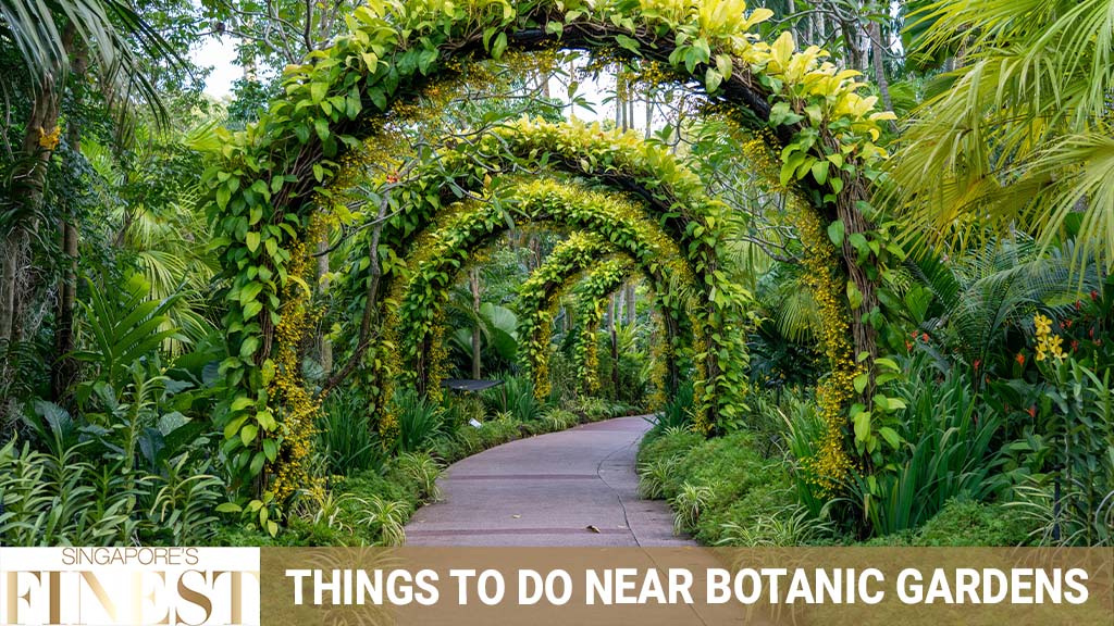 Are Dogs Allowed In Singapore Botanic Gardens