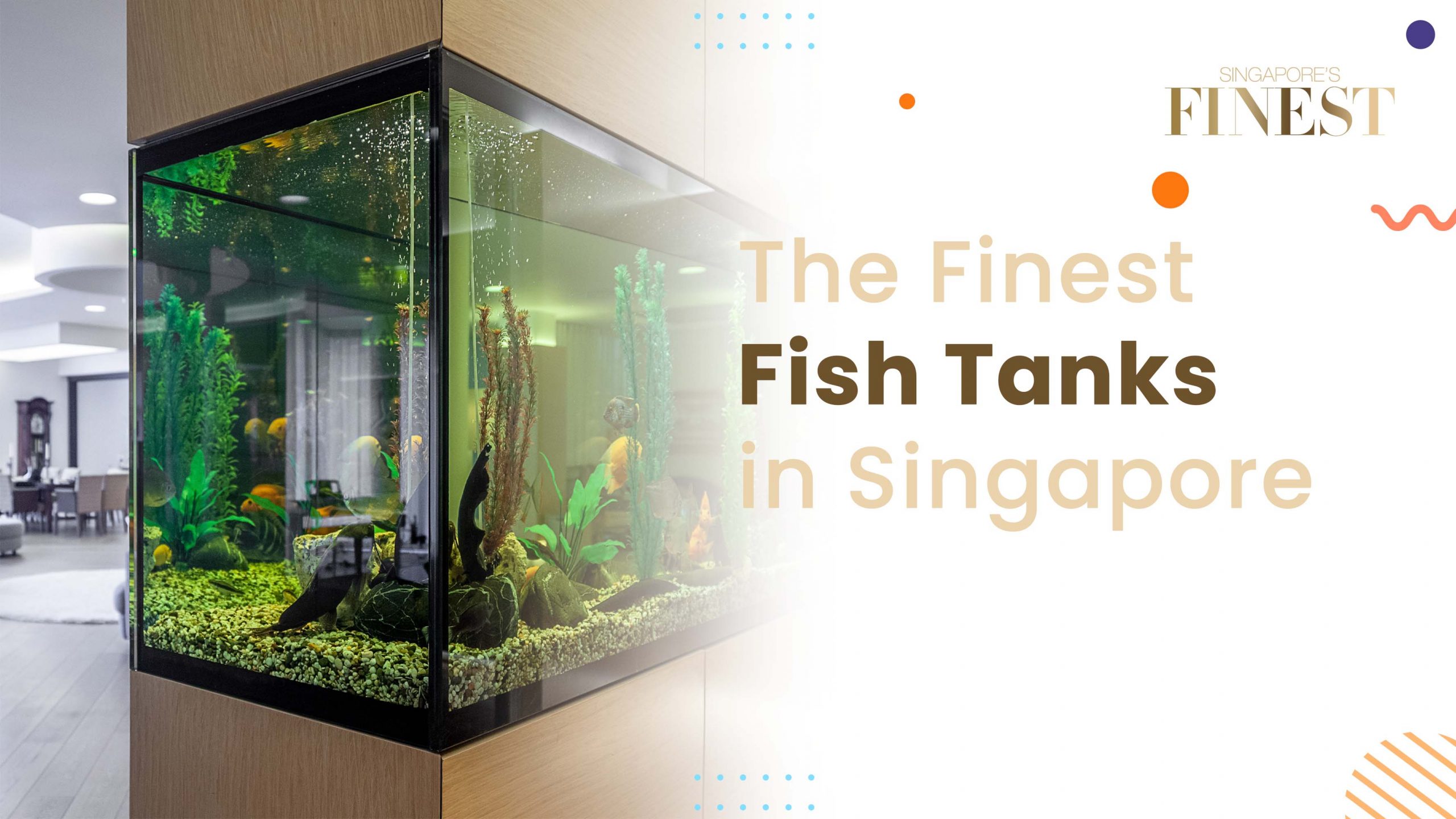 Finest Fish Tanks in Singapore