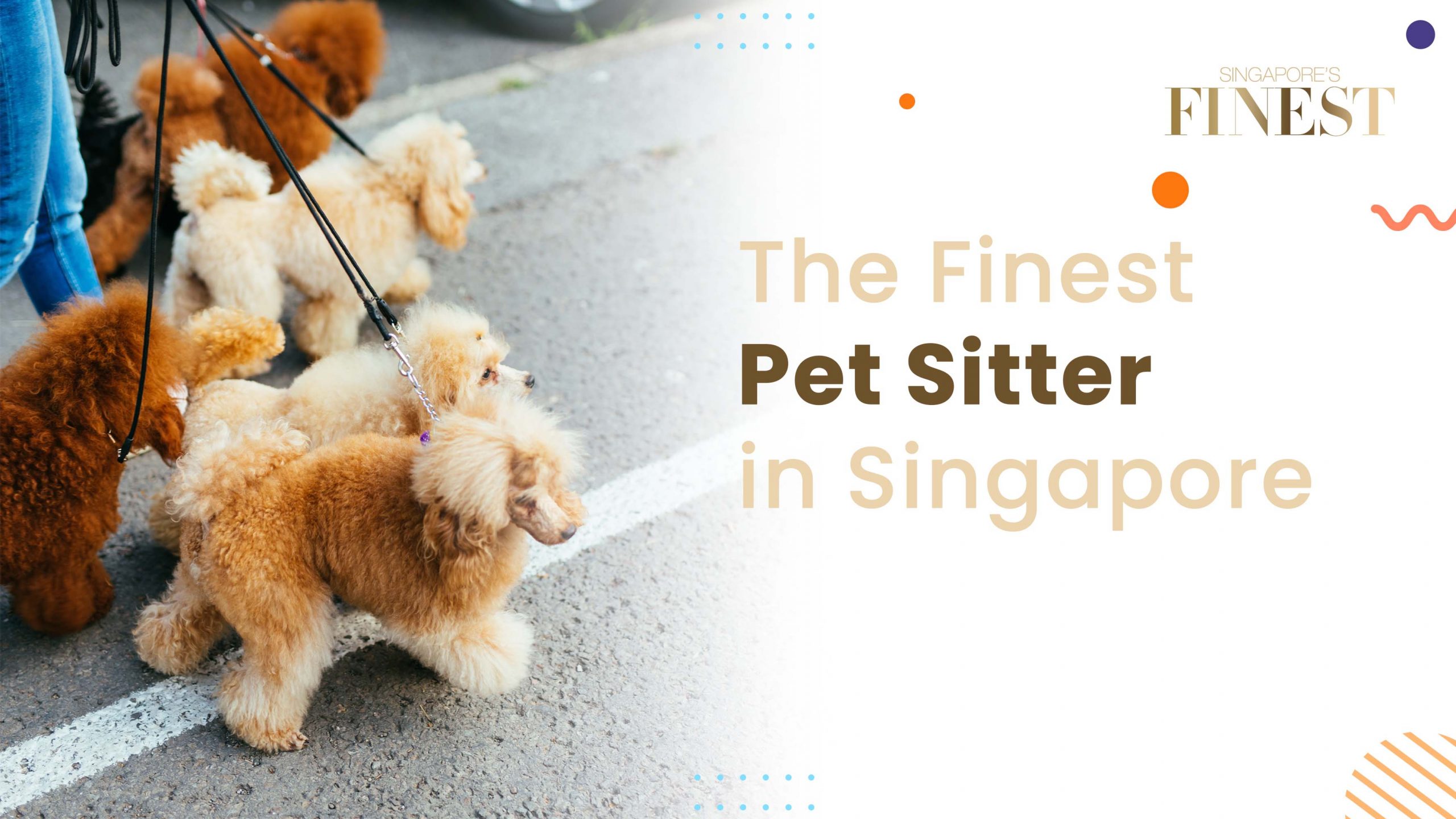Finest Pet Sitter in Singapore
