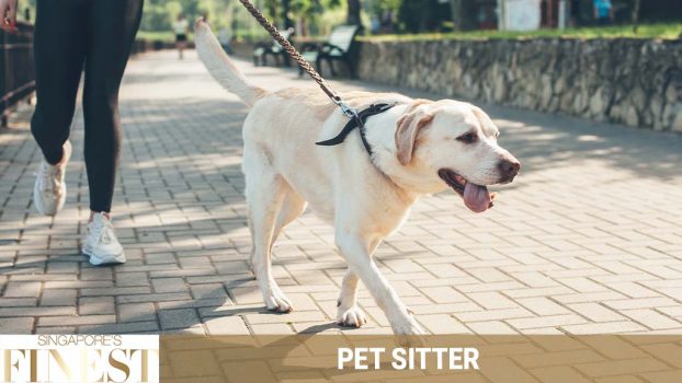 The Finest Pet Sitters in Singapore