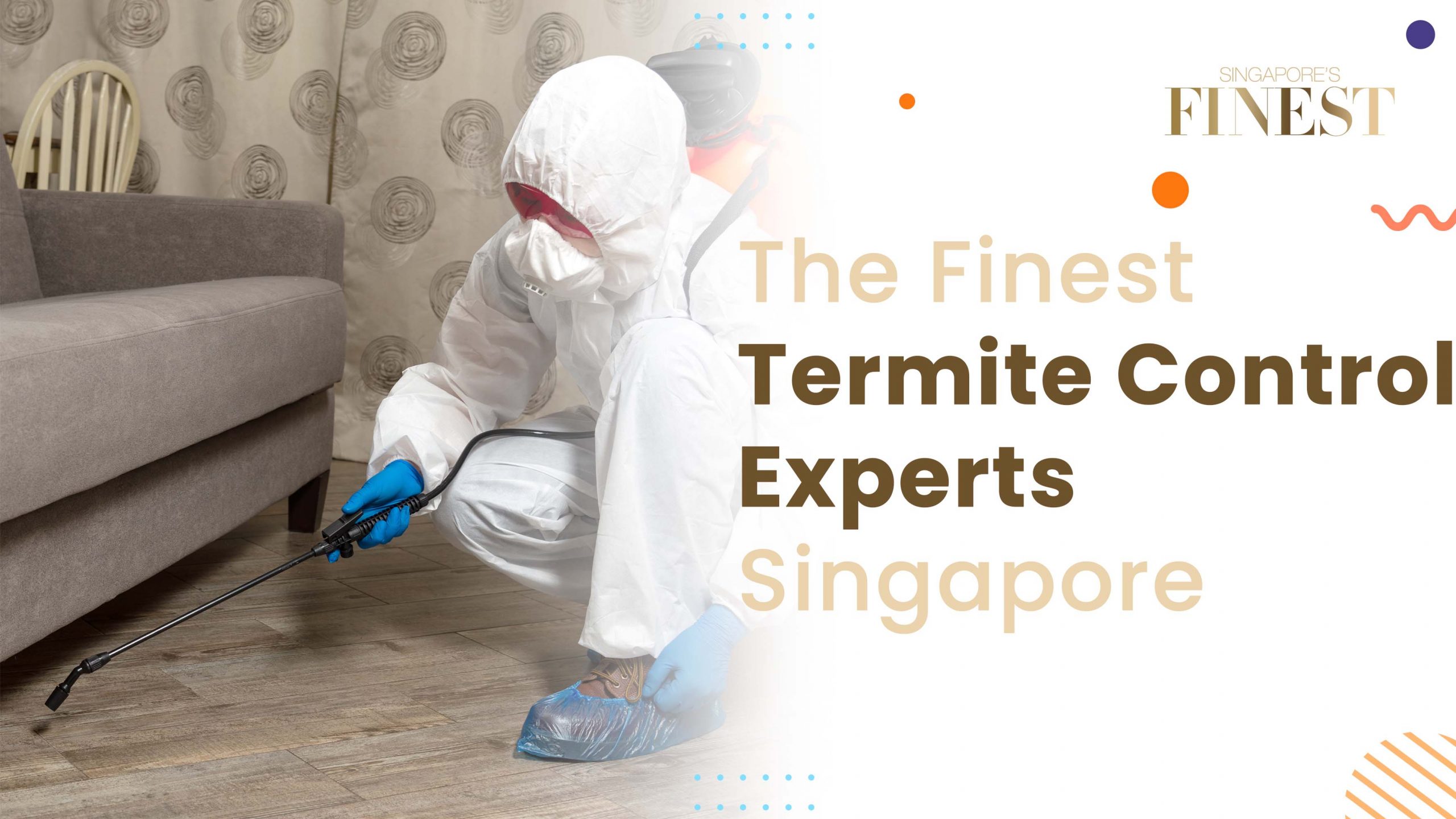 Finest Termite Control Experts in Singapore