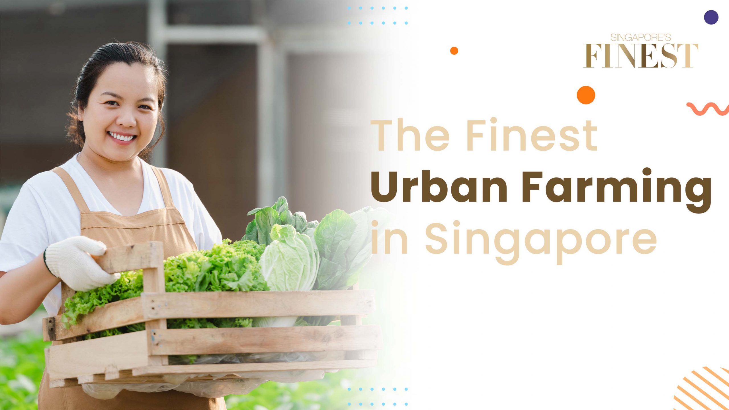 Finest Urban Farming in Singapore
