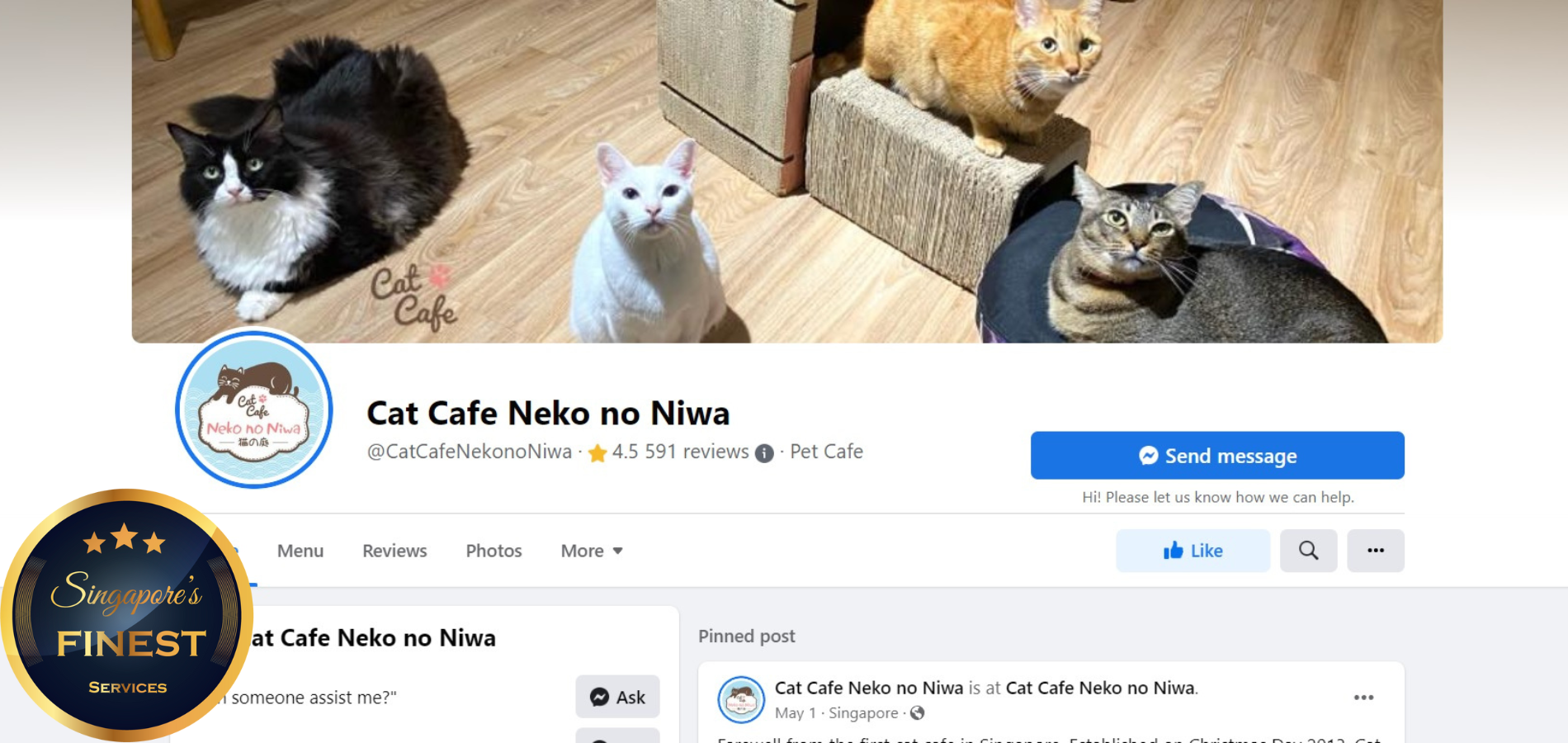 The Finest Cat Cafes in Singapore