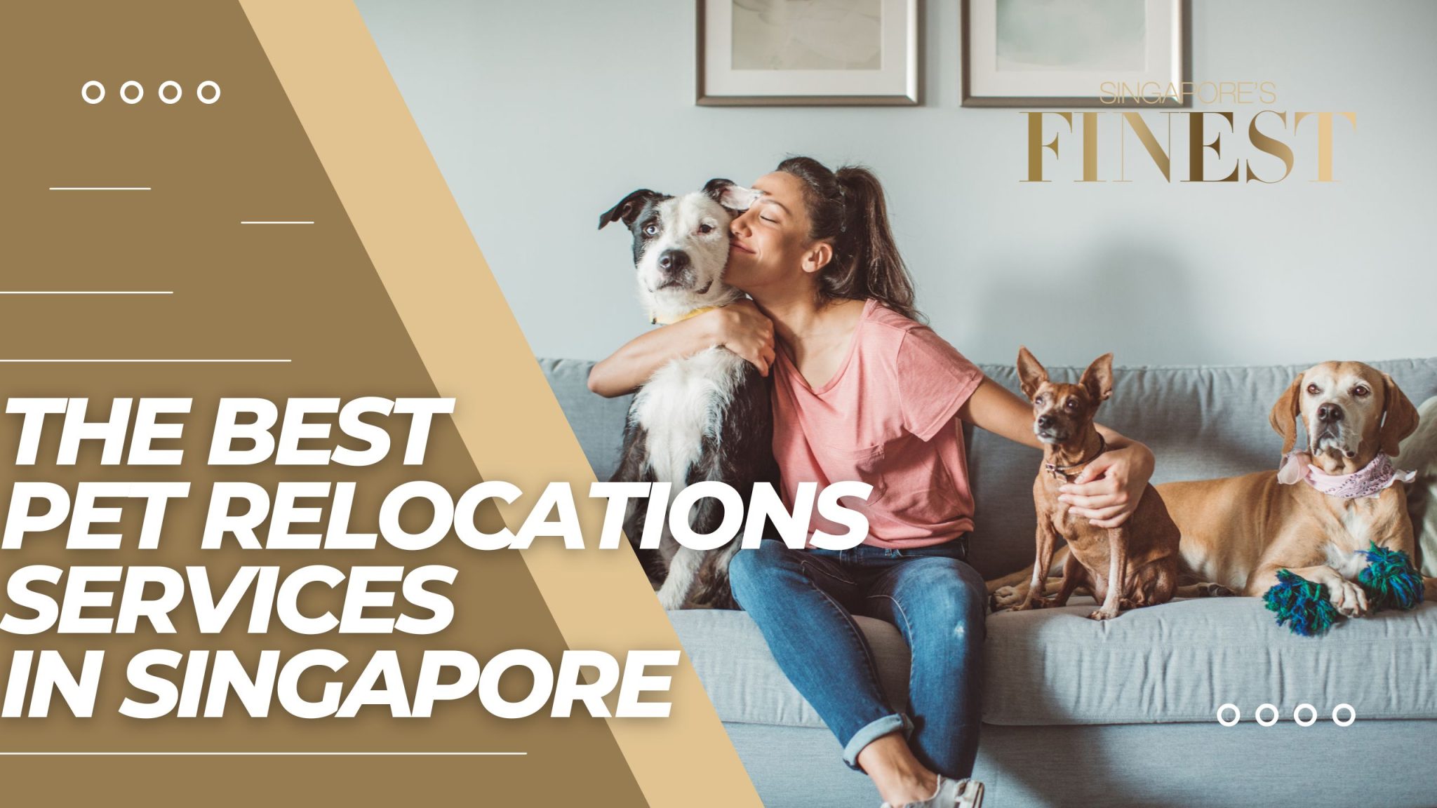 8 Trustworthy Pet Relocation Services in Singapore [2024]