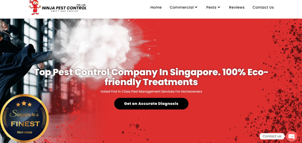 Best Pest Control Service In Singapore [2024]