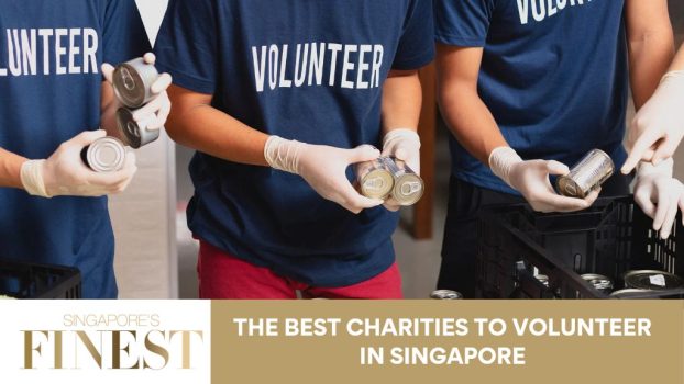 The Finest Charities to Volunteer in Singapore