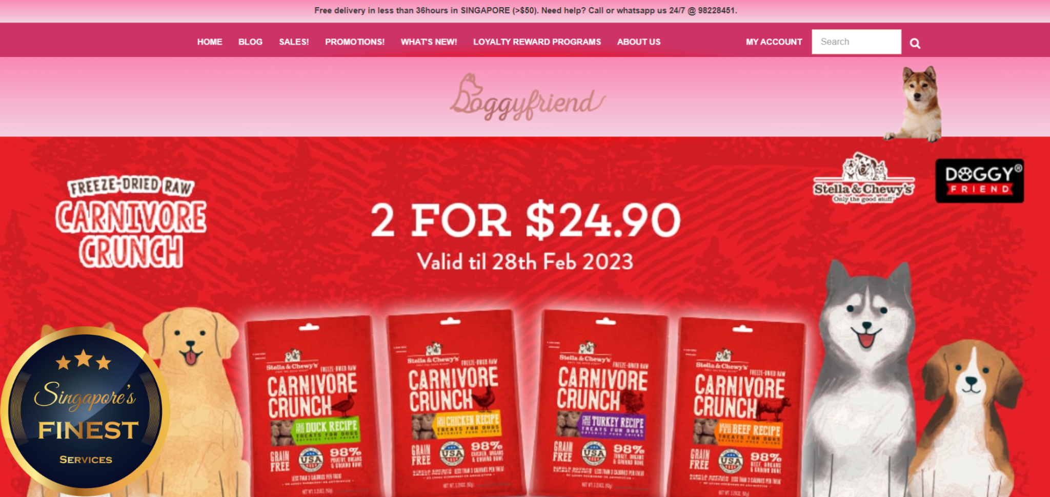 10 Trustworthy Online Pet Stores in Singapore [2024]