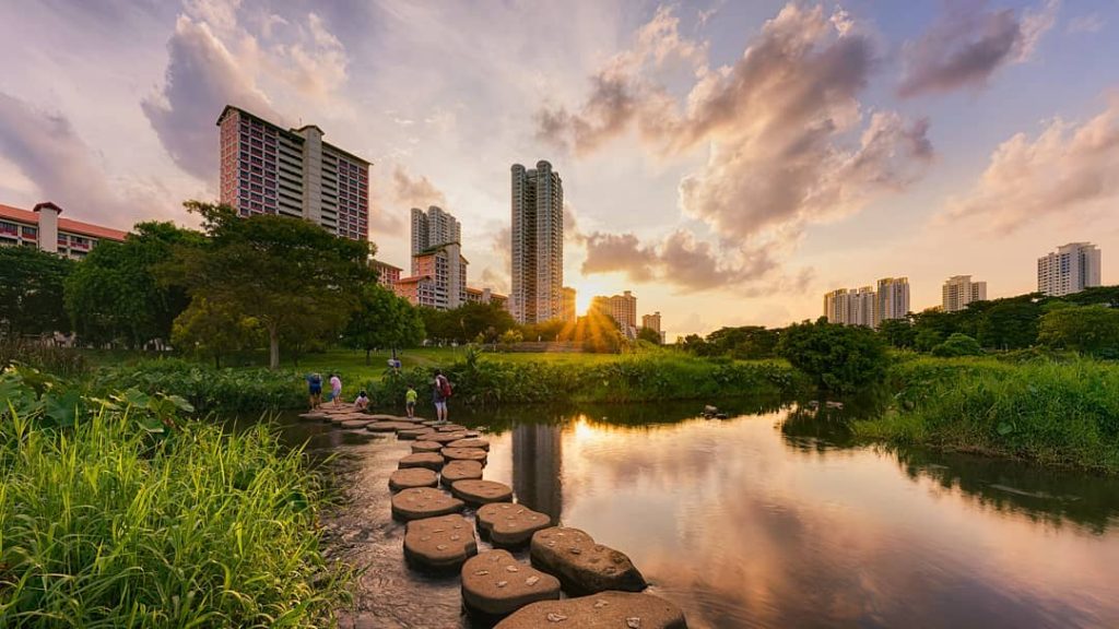 Top Hiking Routes and Locations in Singapore
