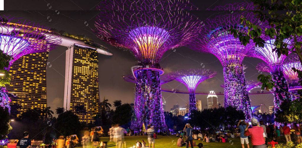 Supertree Grove Watch in Amazement [2023]