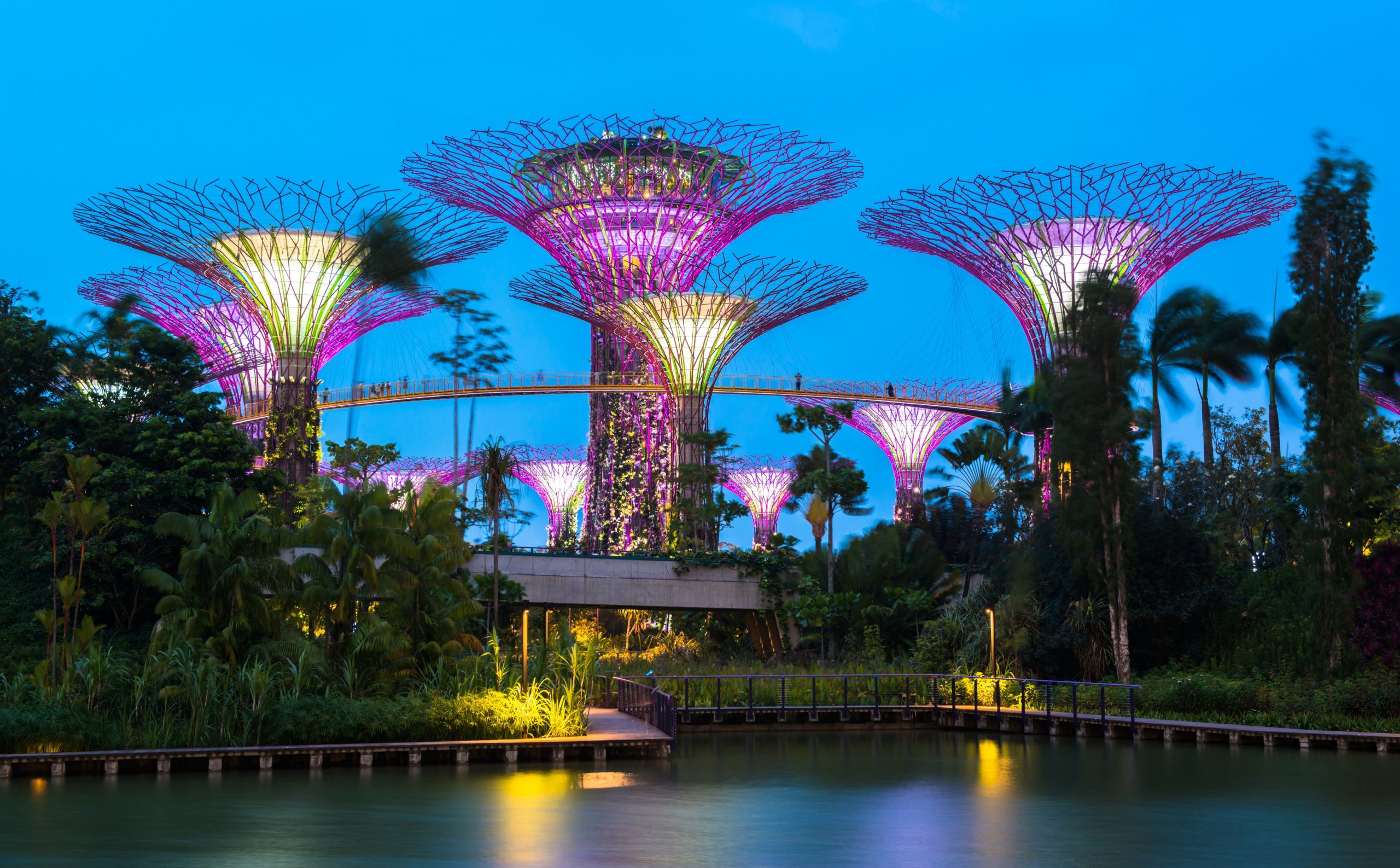 Gardens by the Bay: Flowers Never Stop Blooming