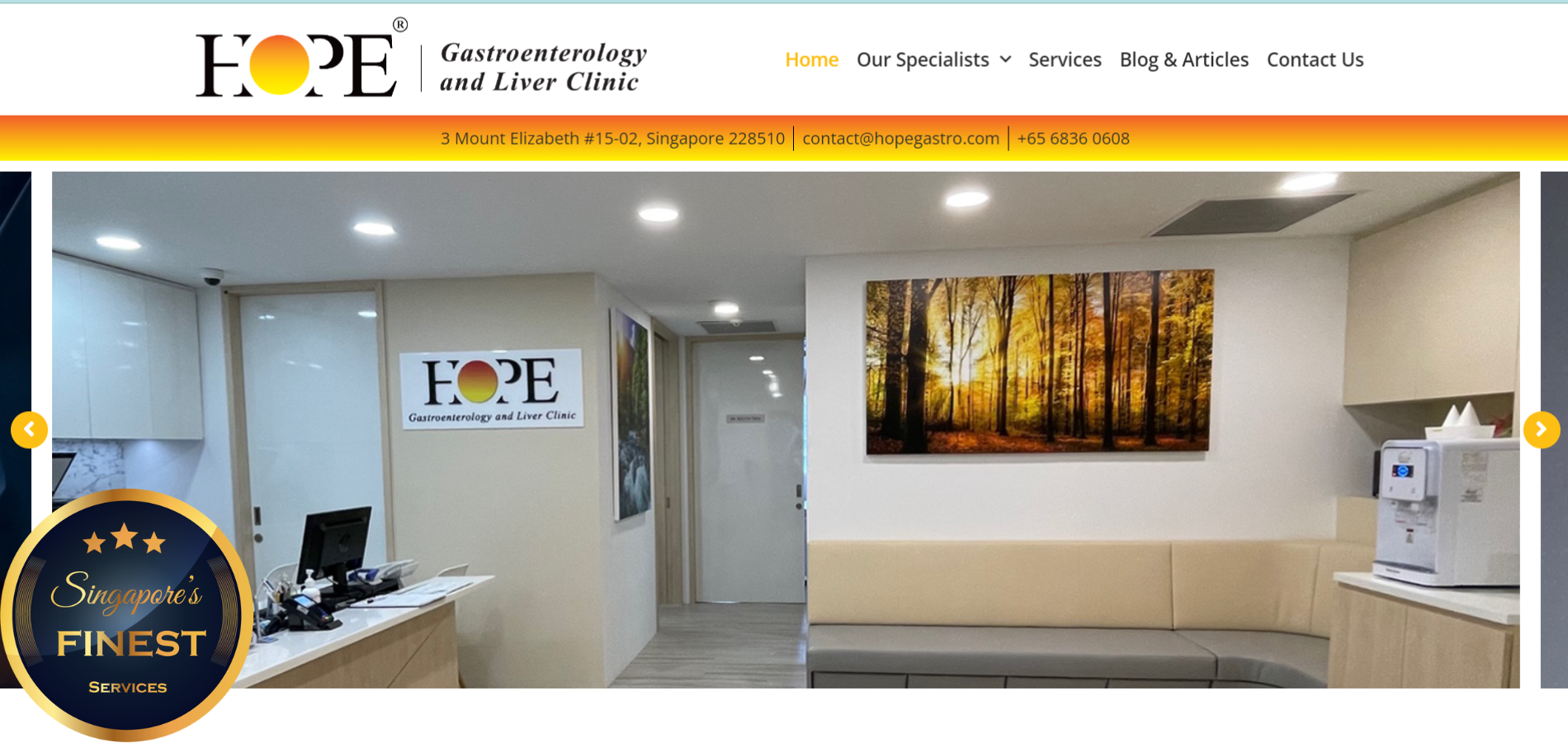 The Finest Gastroscopy Clinics in Singapore