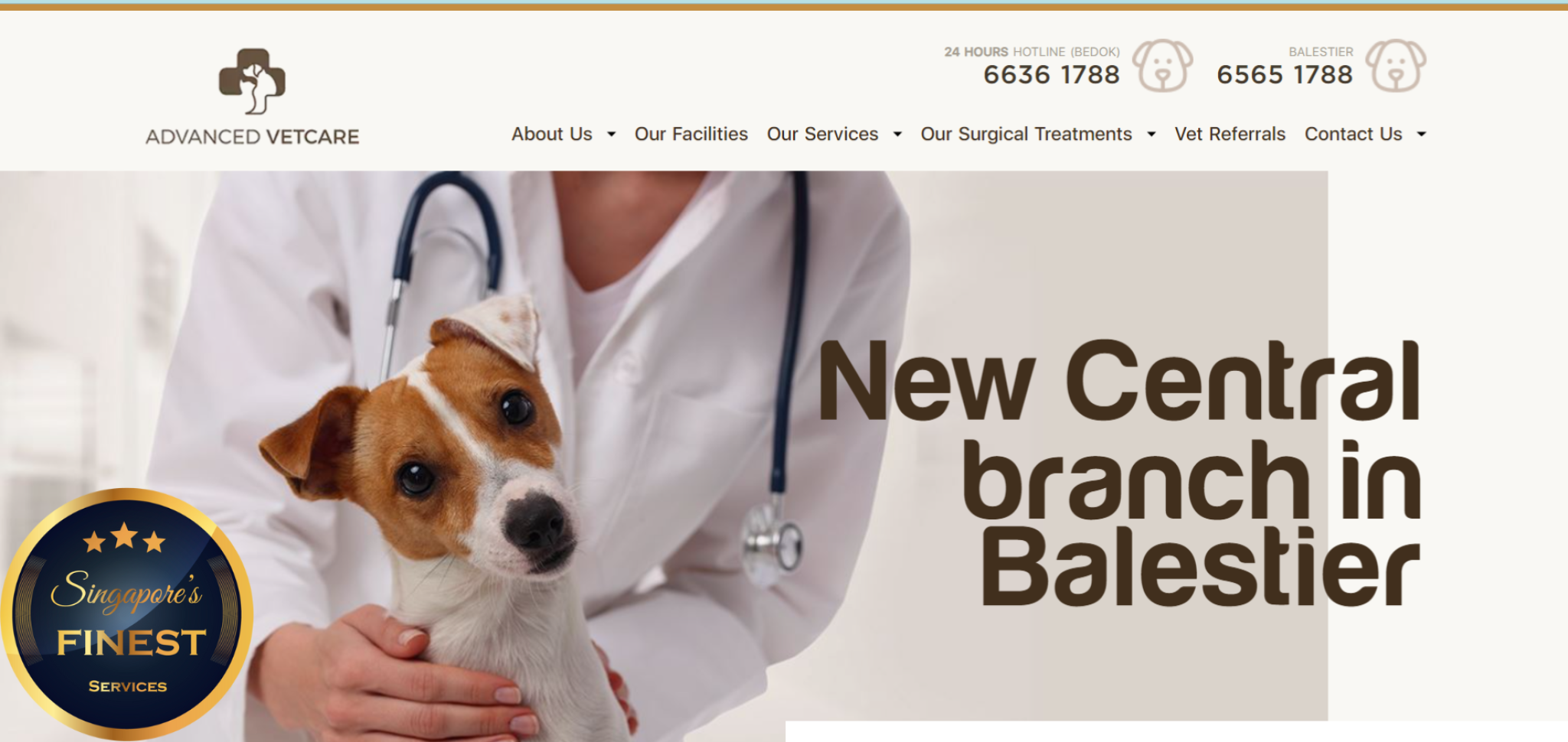 5 Trustworthy Vet Clinics In Singapore [2024]