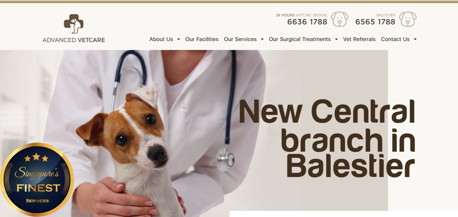 The Finest Vet Clinics in Singapore