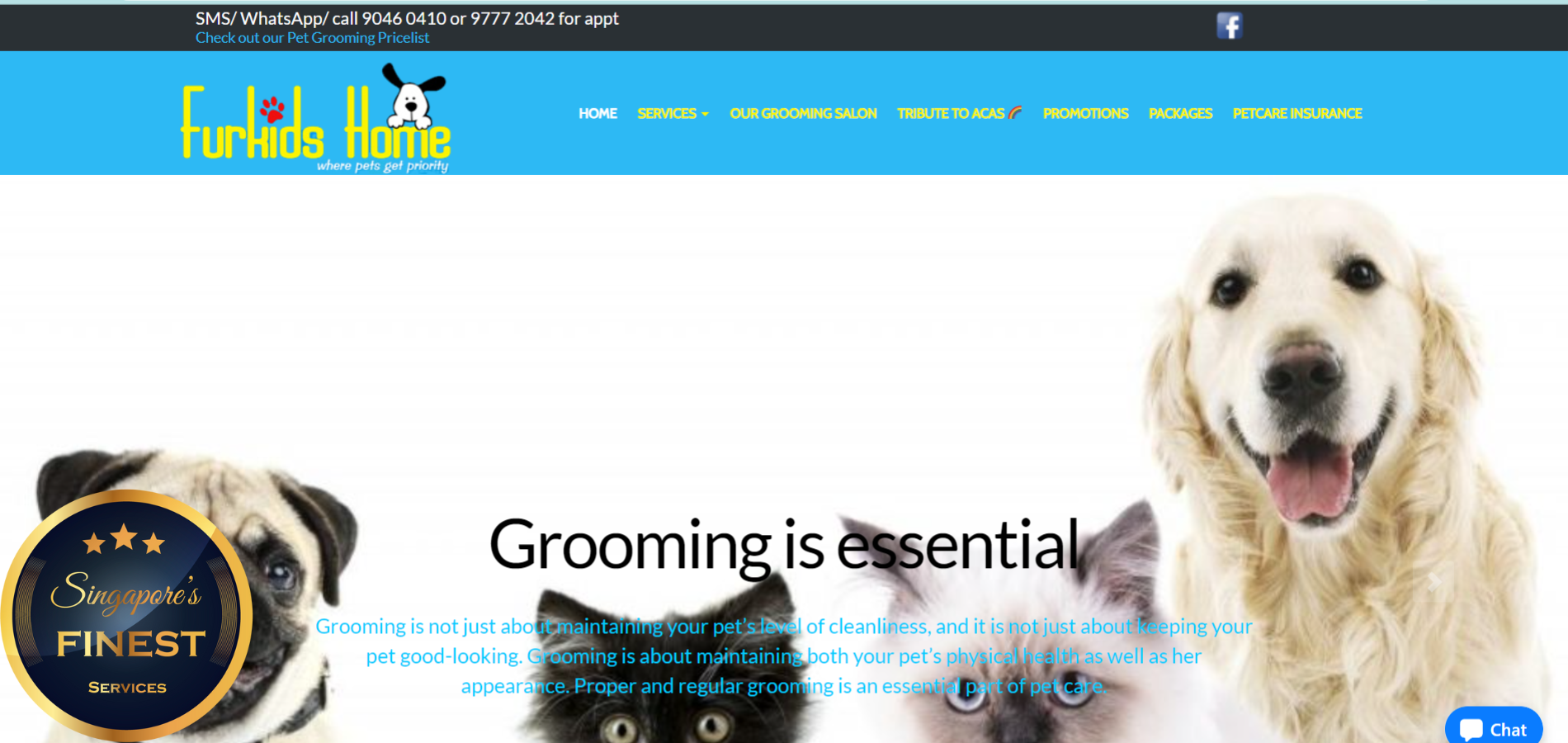 The Finest Pet Grooming Salons in Singapore