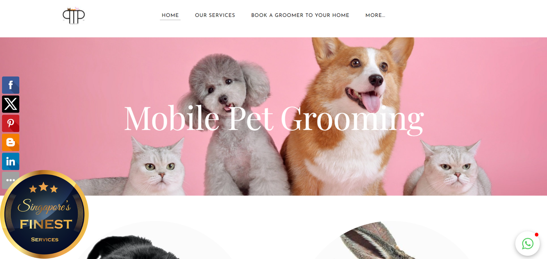 The Finest Pet Grooming Salons in Singapore