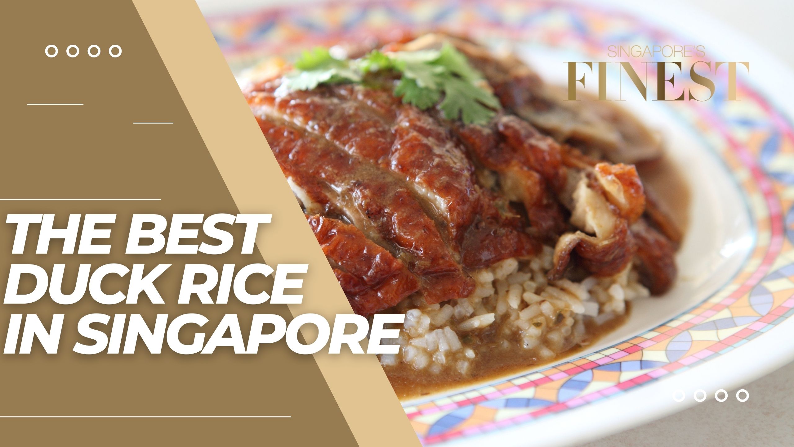 The Finest Braised Duck Rice in Singapore