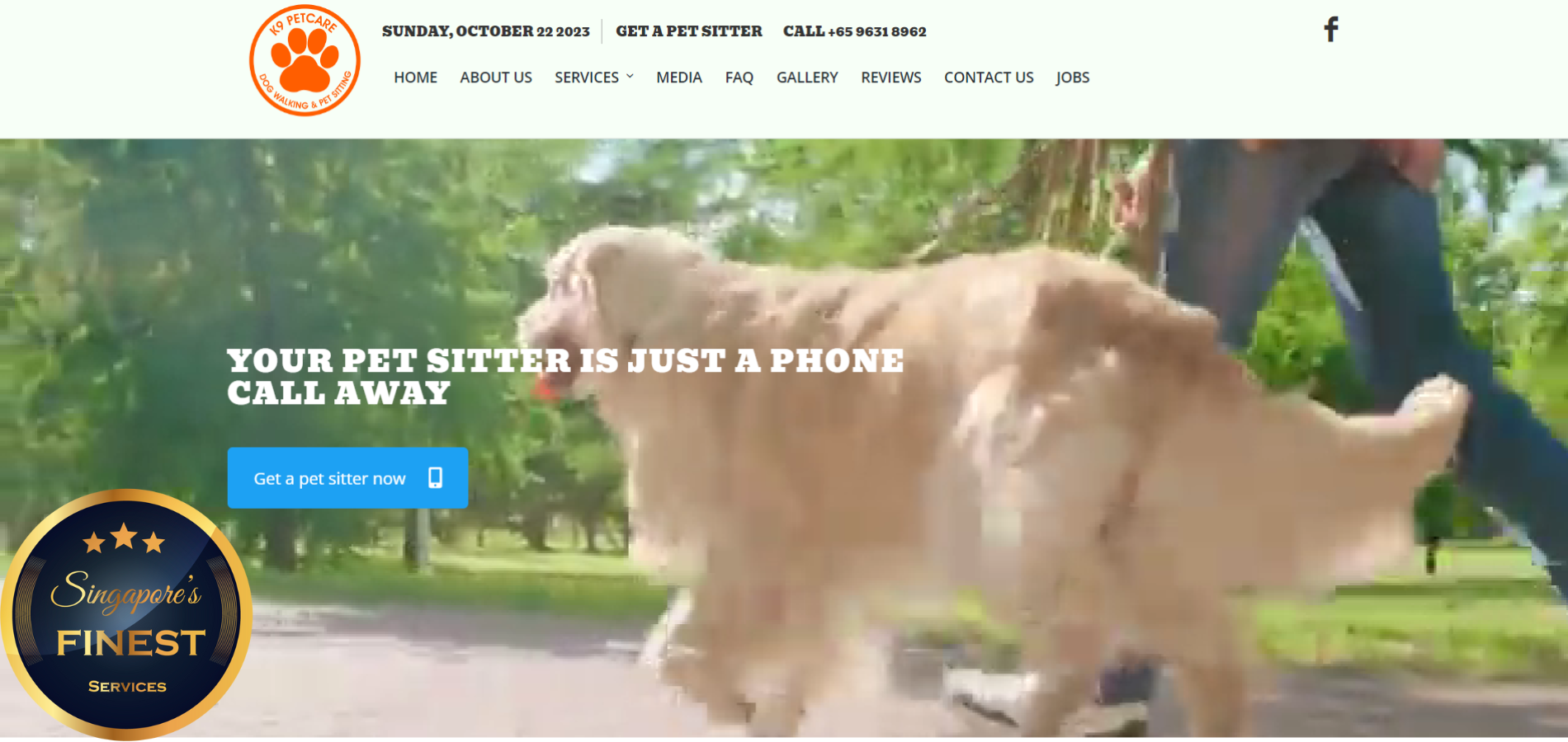 The Finest Pet Sitters in Singapore