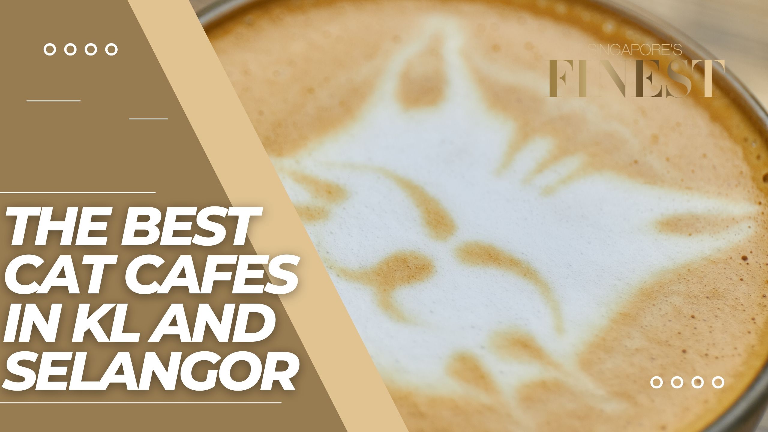The Finest Cat Cafes in KL and Selangor