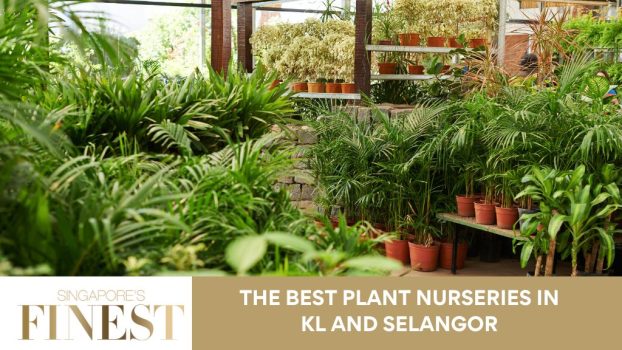 The Finest Plant Nurseries in KL and Selangor