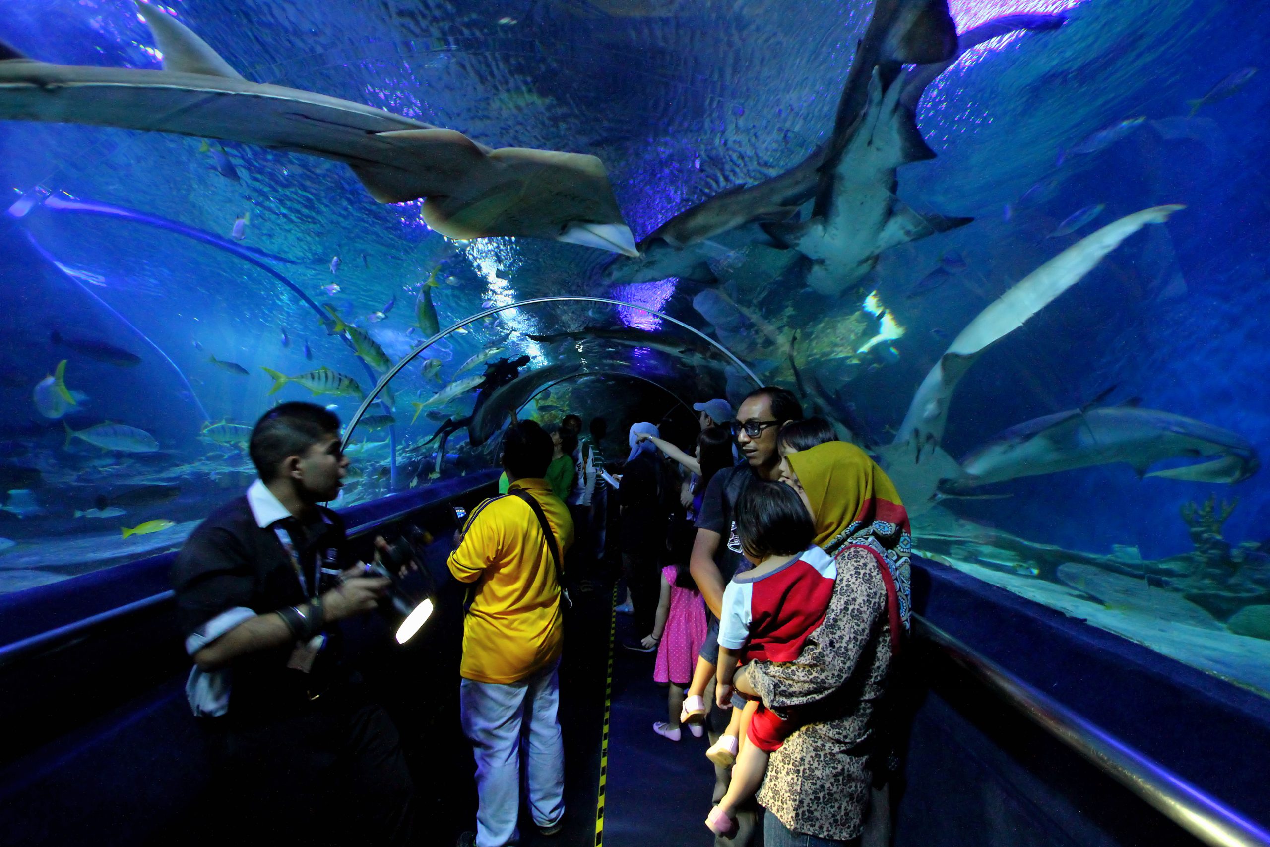 Aquaria KLCC - Aquarium in Kuala Lumpur, Malaysia