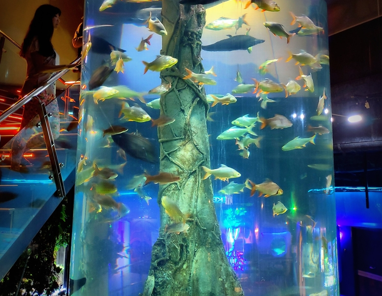 Aquaria KLCC - Aquarium in Kuala Lumpur, Malaysia