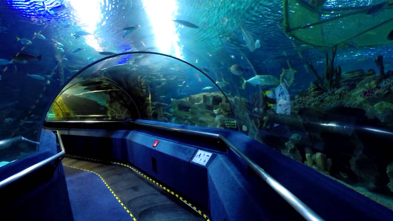 Aquaria KLCC - Aquarium in Kuala Lumpur, Malaysia