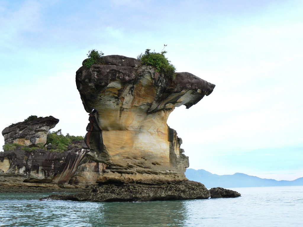 Bako National Park Malaysia