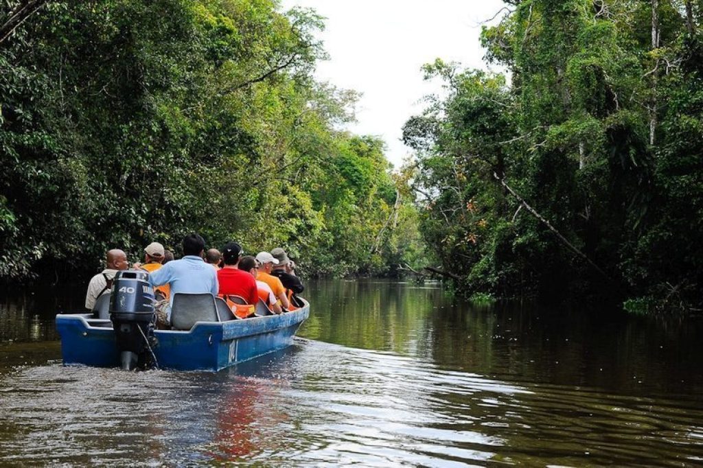 Kinabatangan Wildlife Sanctuary