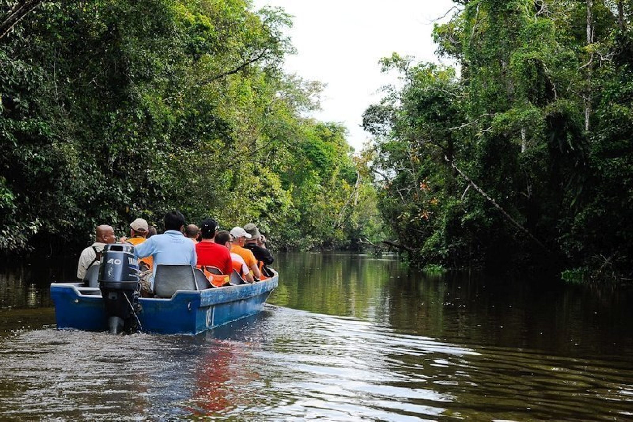 Kinabatangan Wildlife Sanctuary [2023]