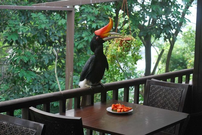 KL Bird Park - Wildlife park in Kuala Lumpur, Malaysia