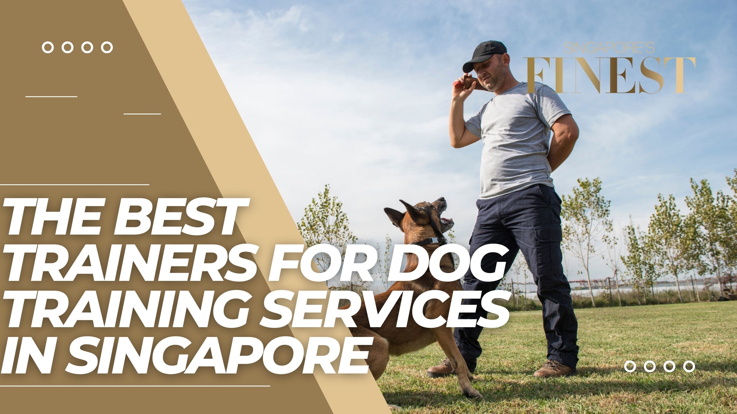 The Finest Trainers for Dog Training Services in Singapore